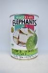 Twin elephants - Jacquier vert en moceaux - 540ml